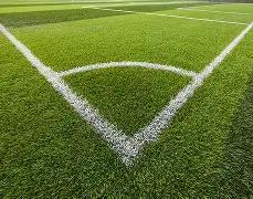 许昕亚锦赛,单项抽签遇,强敌,金贝娱乐官网,JINBEI金贝娱乐官网,金贝娱乐官网在线娱乐平台